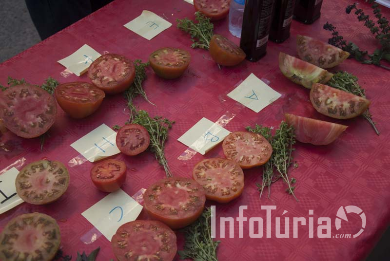 II Concurs de Tomata Lliriana